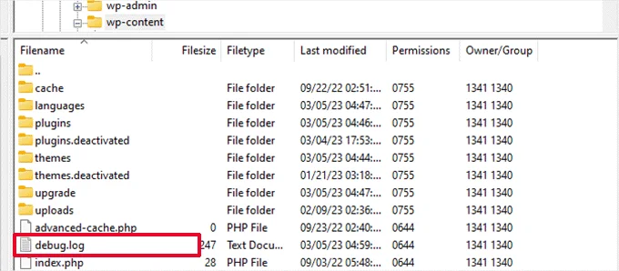 حالت Debug Mode را برای دریافت خطاها در وردپرس فعال کنید