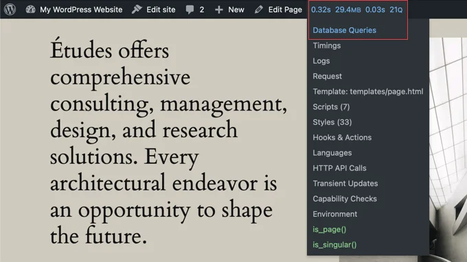 افزونه رایگان Query Monitor