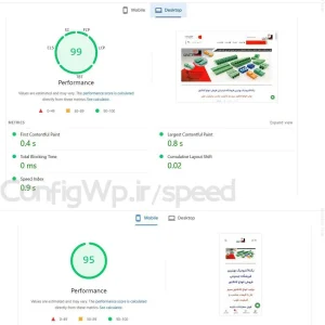 نمونه کار pagespeed گوگل